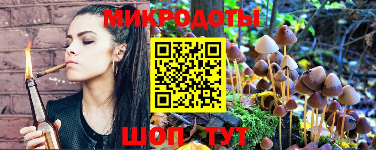 Галлюциногенные грибы Psilocybe  Вход с VPN  Москва  Псилоцибиновые грибы прущие грибы 
