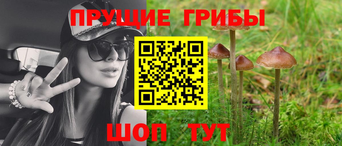 Псилоцибиновые грибы Magic Shrooms Москва